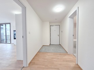 943-hallwaya.jpg