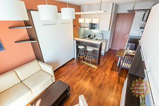 c-526-2020-pronajem-apartmany-praha-albertov-rental-apartments-04.jpg