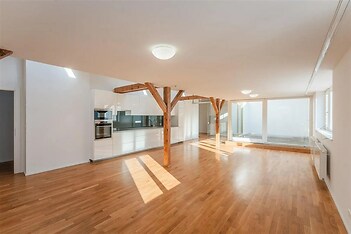 prázdná místnost s přirozené světlo, radiátor, dřevěná podlaha, a dřez